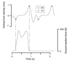 Foot velocity figure