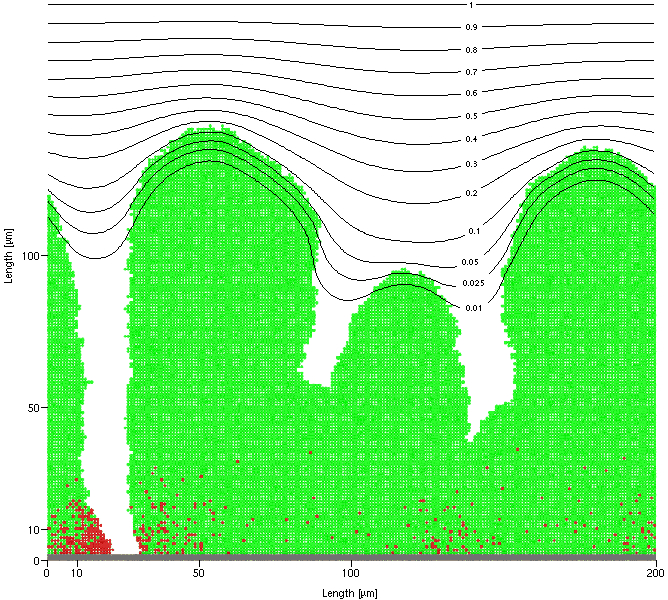 Biofilm image with oxygen contours