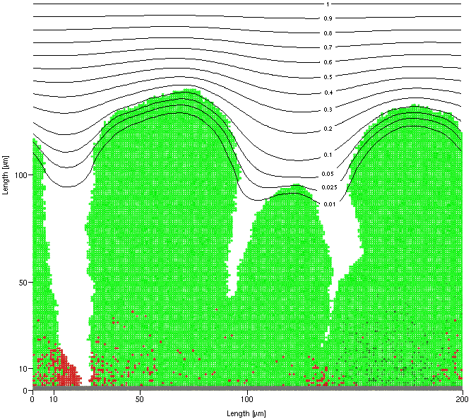 Biofilm image with oxygen contours