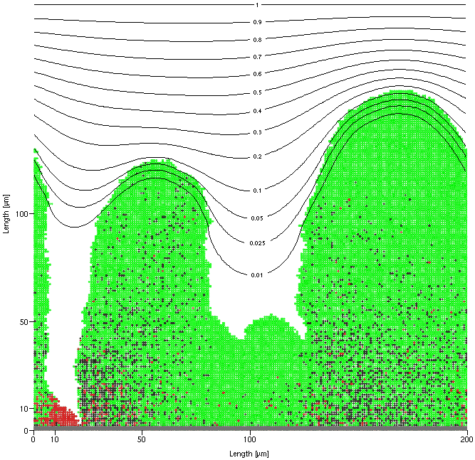 Biofilm image with oxygen contours