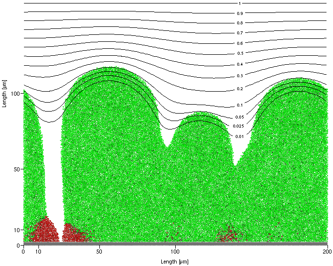 Biofilm image with oxygen contours