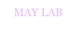 MAY LAB
