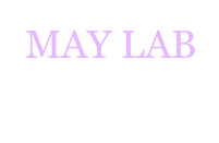 MAY LAB
