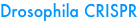 shapeimage_6_link_17