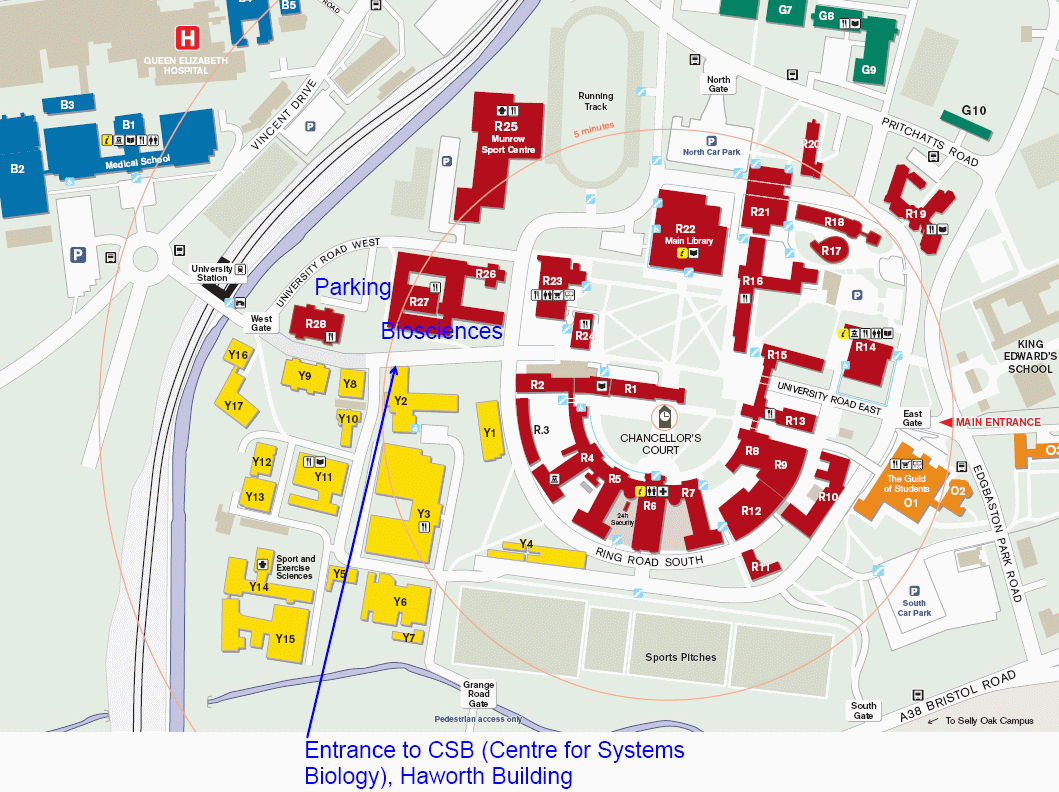 university of birmingham campus map Kreft Lab University Of Birmingham