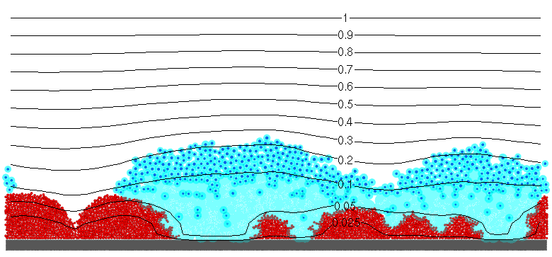 Biofilm image with oxygen contours